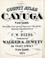 Cayuga County 1875 